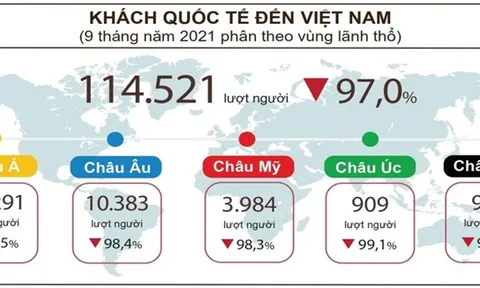 Trên 2 triệu người lao động trong ngành dịch vụ rơi vào cảnh thất nghiệp?