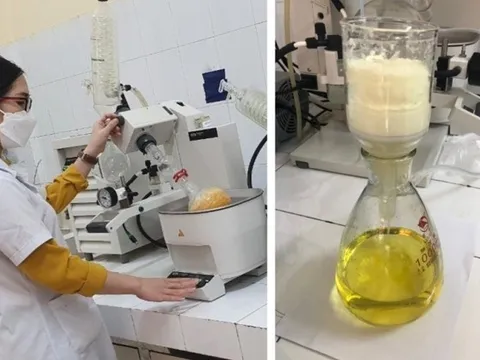 Thuốc điều trị Covid-19 của Việt Nam có nhiều triển vọng