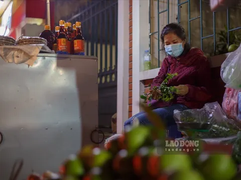 Lãnh đạo Bệnh viện Tuệ Tĩnh: "Đã tìm được nguồn trả lương cho y, bác sĩ"