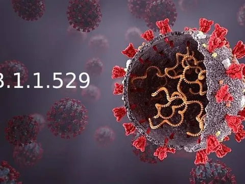 Omicron - Biến chủng nguy hiểm mới của virus SARS-CoV-2
