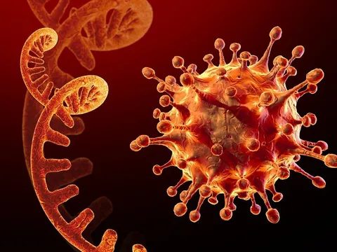 WHO tiết lộ thông tin tích cực đầu tiên về biến thể Omicron