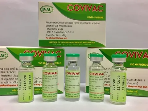 Ngừng thử nghiệm lâm sàng giai đoạn ba vaccine Covivac do thiếu tình nguyện viên
