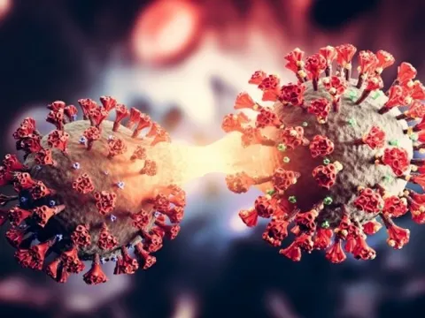 Chuyên gia cảnh báo siêu biến thể mới có thể sẽ xuất hiện nếu Omicron và Delta kết hợp