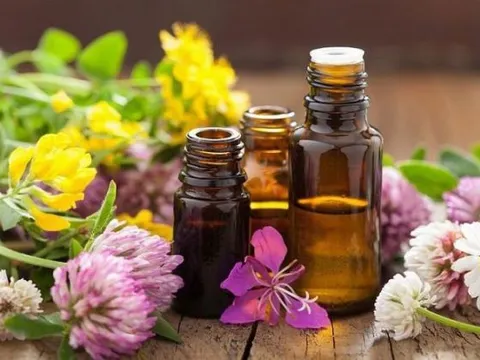 3 liệu pháp tự nhiên giúp giảm các triệu chứng cảm cúm