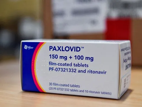 Pfizer triển khai thử nghiệm thuốc paxlovid trị COVID-19 ở trẻ em