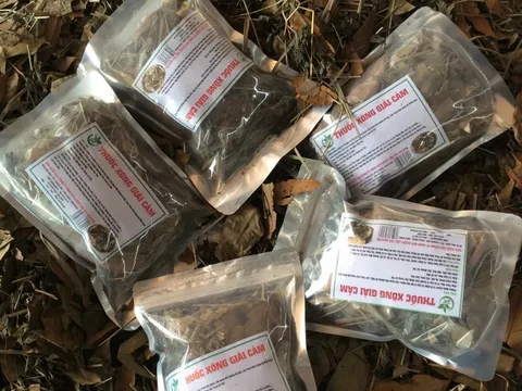 Công ty MTV Dược liệu Tây Nguyên rao bán 'thần dược' chữa Covid-19 khi chưa được cấp phép