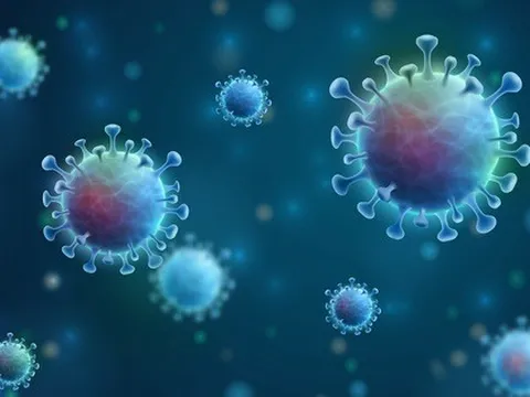 Nhật Bản phát hiện ca nhiễm biến thể XE đầu tiên