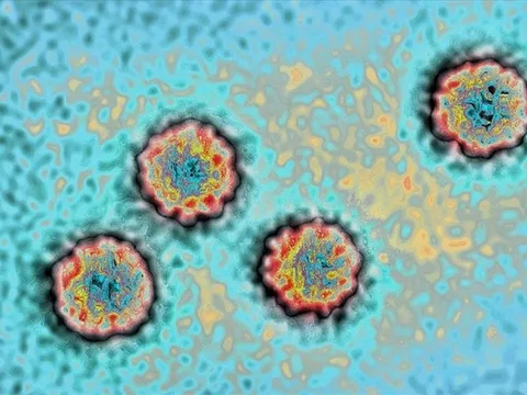 Nguyên nhân gây viêm gan bí ẩn ở trẻ em là do Covid-19?