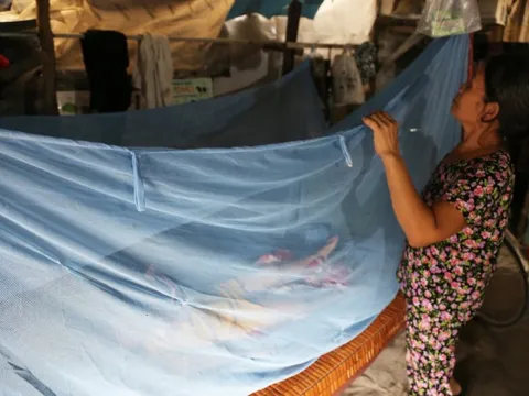 Dịch sốt xuất huyết bùng phát mạnh, người dân TP HCM vất vả chống muỗi