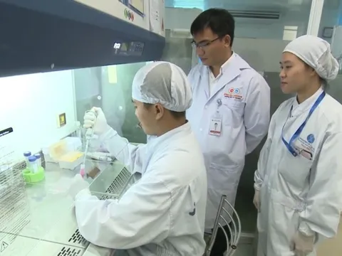 Việt Nam nghiên cứu thành công thuốc điều trị viêm phổi mạn tính từ tế bào gốc