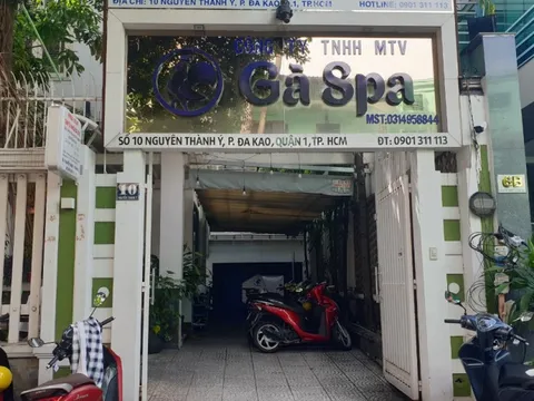 Lại tiếp tục bị phạt, còn bao nhiêu cơ sở Gà Spa tại TP.HCM 'trong sạch'?