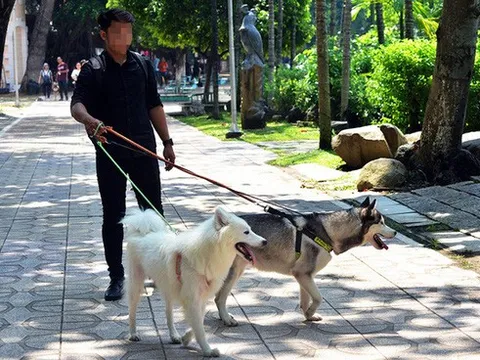 Số ca tăng đột biến, Bộ Y tế cảnh báo nguy cơ bùng phát bệnh dại