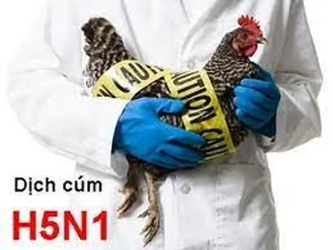 Bộ Y tế cảnh báo nguy cơ lây lan dịch khi phát hiện ca bệnh cúm A(H5) trên người đầu tiên sau 8 năm