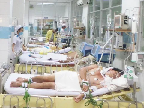 TP. HCM: Dịch sốt xuất huyết diễn biến phức tạp đã có 29 người chết, 113 ổ dịch trong cộng đồng