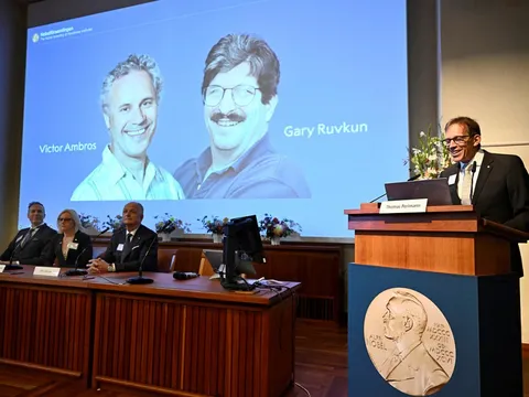 Giải Nobel Y Sinh 2024: Phát hiện lớn về micronRNA