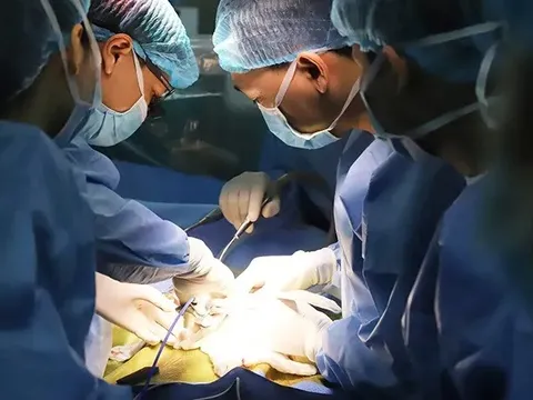 66 ca ghép gan cho trẻ em, trong đó có 48 ca tự chủ hoàn toàn về kỹ thuật