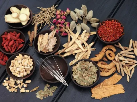 Phát triển nền Y học cổ truyền Việt Nam và Hội Đông y Việt Nam trong giai đoạn mới