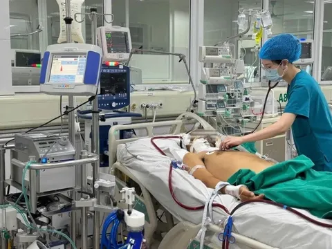 Điều trị cho một nam bệnh nhân trong tình trạng nguy kịch do mắc Whitmore