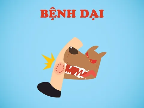 Bộ Y tế thông tin về bệnh dại lây truyền từ động vật sang người