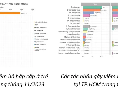 HMPV không phải là virus mới, từng được phát hiện là 1 trong những tác nhân gây viêm hô hấp ở trẻ em năm 2023, 2024
