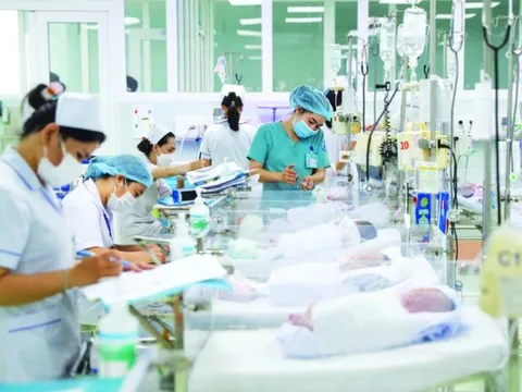 TP. Hồ Chí Minh: Tình hình đáp ứng y tế đảm bảo đón Tết Nguyên đán Ất Tỵ 2025