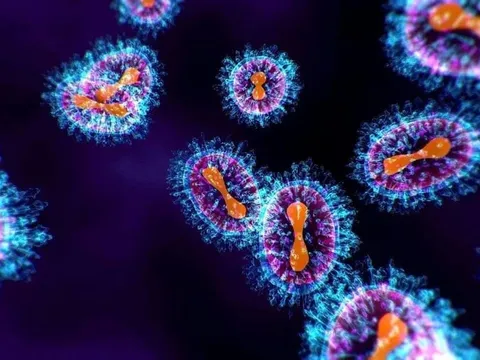 Châu Phi: Dịch tả hoành hành tại nhiều khu vực khiến ca tử vong tăng cao