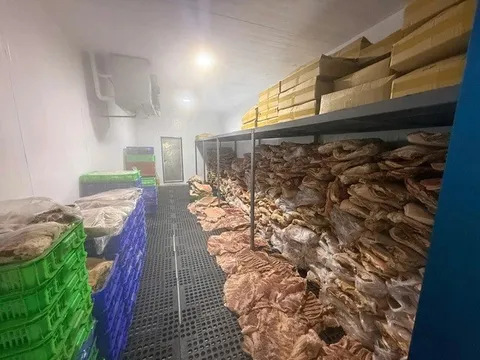 Triệt phá đường dây 'phù phép' hơn 50 tấn thịt lợn thành 'đặc sản' tuồn ra chợ Tết