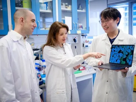 Nghiên cứu đột phá từ Singapore giúp vô hiệu hóa vi khuẩn kháng thuốc