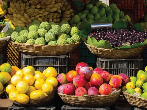 Trái cây Việt chinh phục nhiều thị trường khó tính