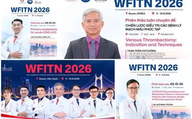 Việt Nam vận động đưa hội nghị can thiệp thần kinh thế giới về Đà Nẵng